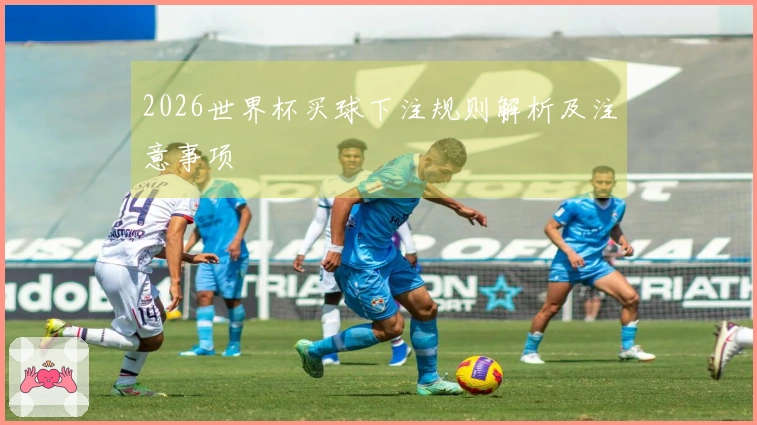 2026世界杯买球下注规则解析及注意事项