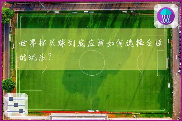 世界杯买球到底应该如何选择合适的玩法？
