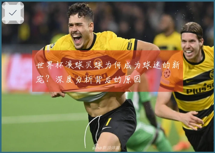 世界杯滚球买球为何成为球迷的新宠？深度分析背后的原因